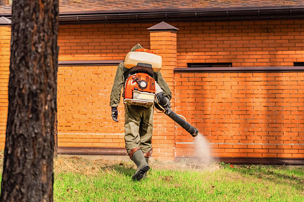 Trusted Cockroach Control service in Westwood, MI - Nex Pest Control